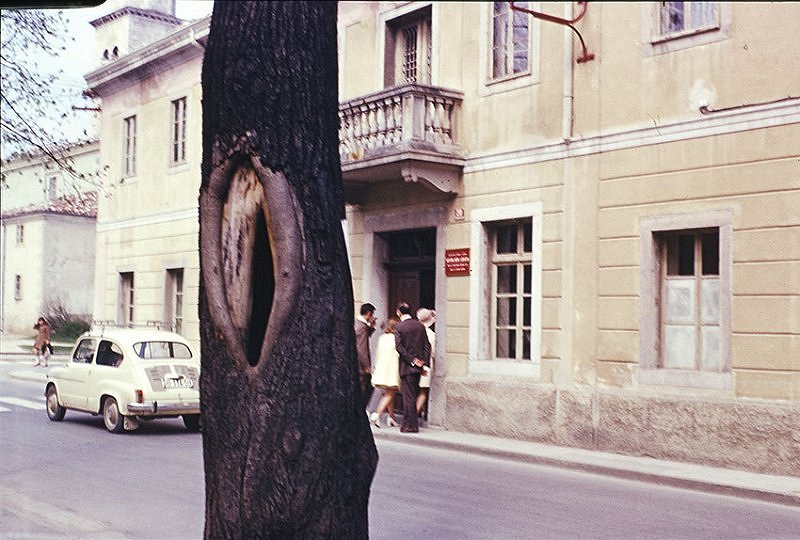 4.Veno_Pilon__Stara_ob__inska_stavba__Ajdov____ina__barvni_diapozitiv__Pilonova_galerija_Ajdov____ina__.jpg