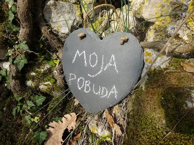 Moja pobuda