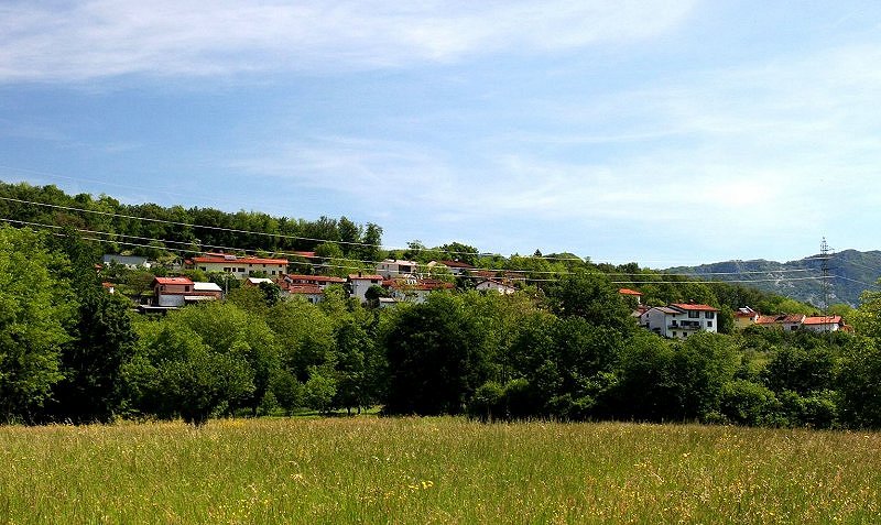 Plače gredo po svoje 