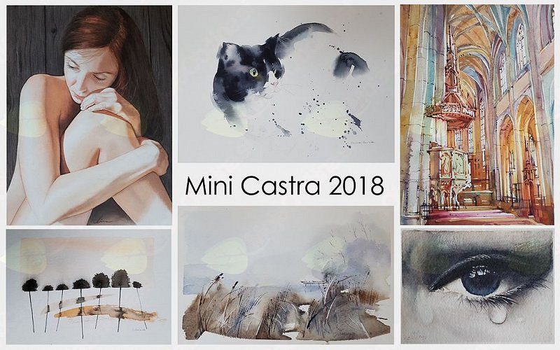 Mini Castra 2018