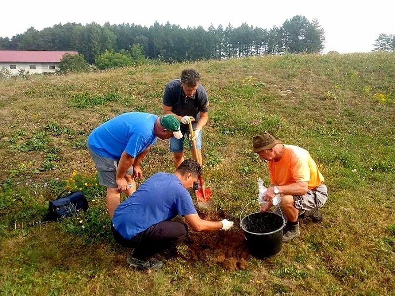 Težave z majskim hroščem na Gori 