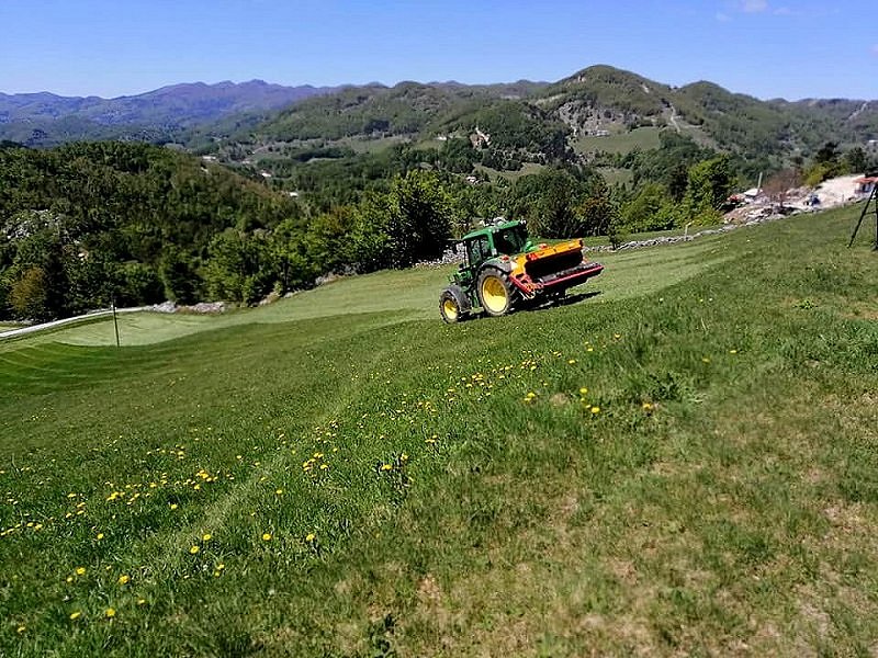 Majski hrošč Gora