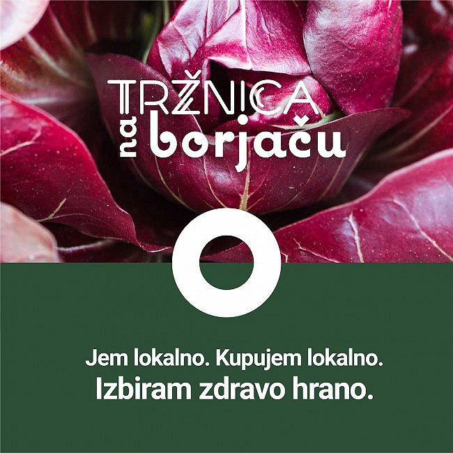 05_Trzbica_na_borjacu.jpg