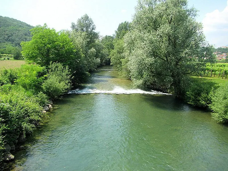 Reka Vipava 