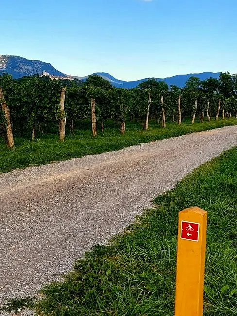 Moja pobuda v Skriljah poskrbela za družinsko kolesarsko pot