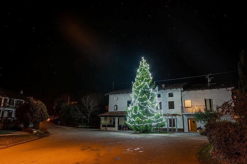 Na Brjah že 20. leto zapored postavili novoletno smreko