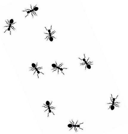 Kolumna: Tisoče migetajočih mravljic
