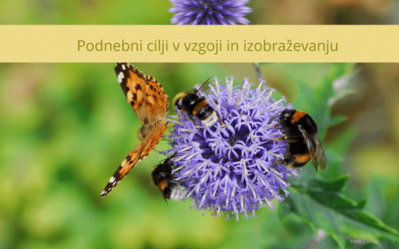 Podnebni cilji v vzgoji in izobraževanju