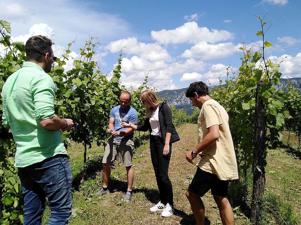 Vipavski »Postani vinar za en dan« med 100 najboljših trajnostnih praks na svetu