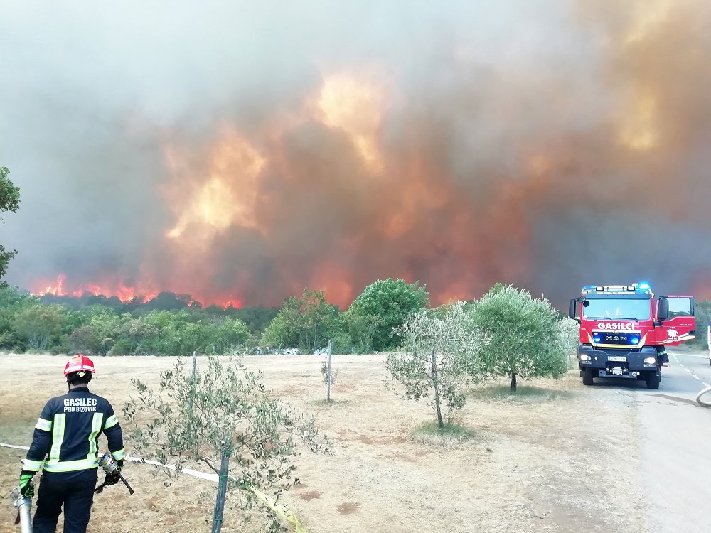 Letošnji požari na Goriškem Krasu niso nastali zaradi namernih požigov