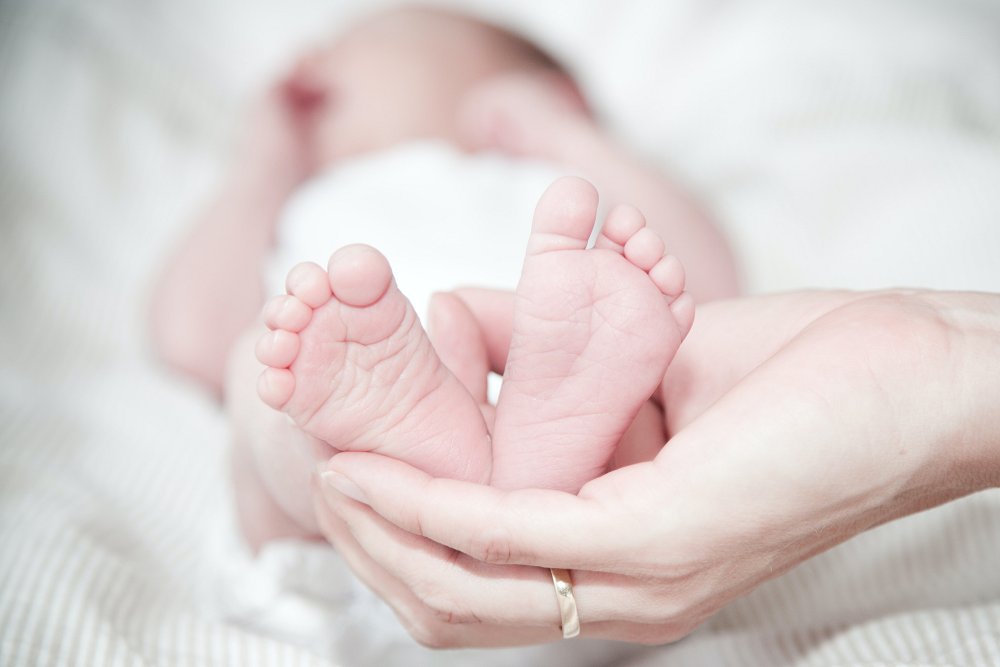 baby 2023