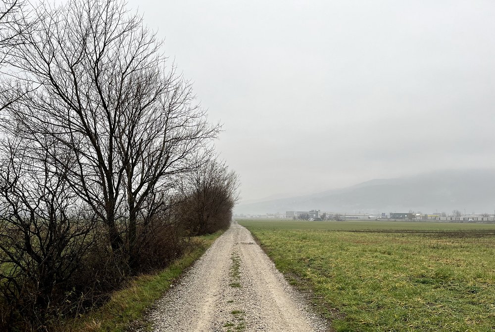 Kolumna: Naslednje leto ne bo več megle ...