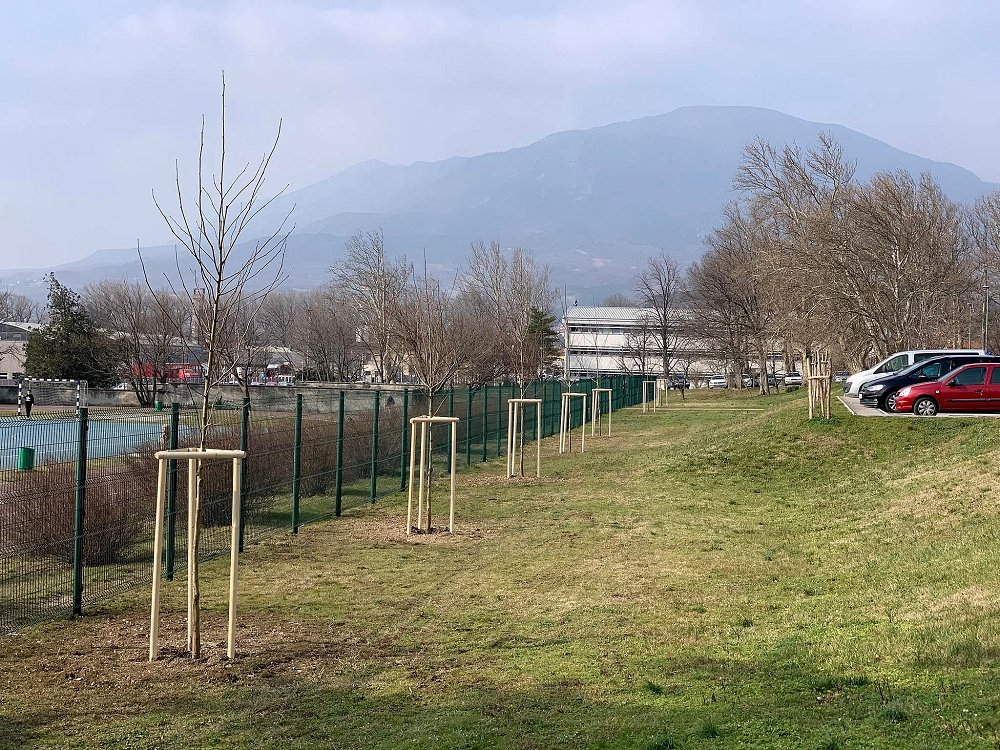 ozelenitev Ajdovščina 2023 fotka    