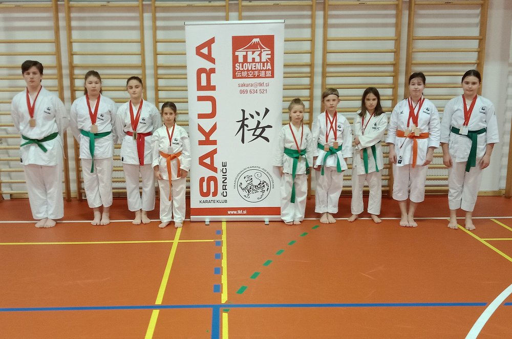 Karate 2023 Ajdovščina fotka    