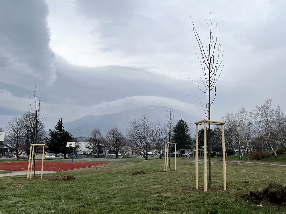 Doslej posajenih že več kot 100 dreves iz donacije Taje in Iva Boscarola