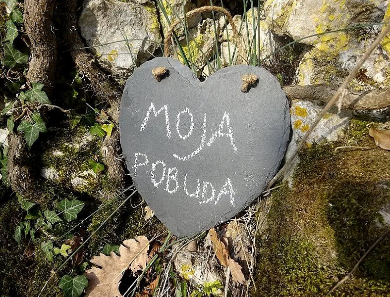 Projekt Moja pobuda bo znova na sporedu v začetku letošnjega poletja