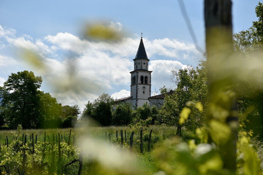 V nedeljo bo potekal 9. tradicionalni pohod med vinogradi in slapovi idilične vasice Slap