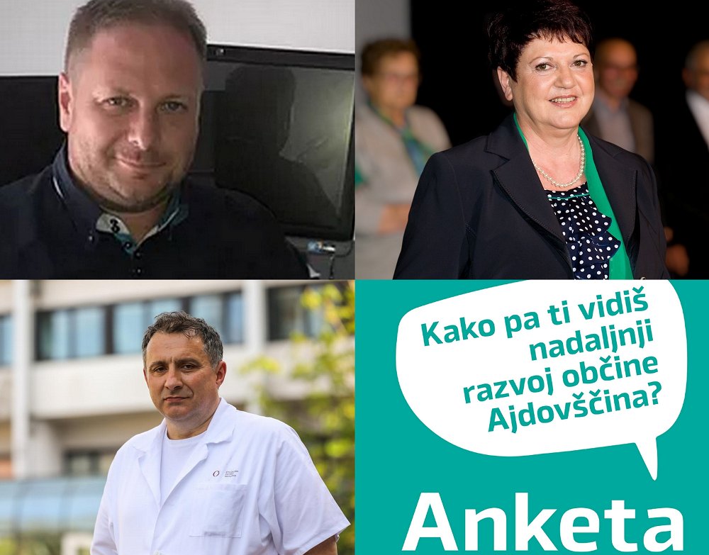 Anketa Ajdovščina 2024 fotka