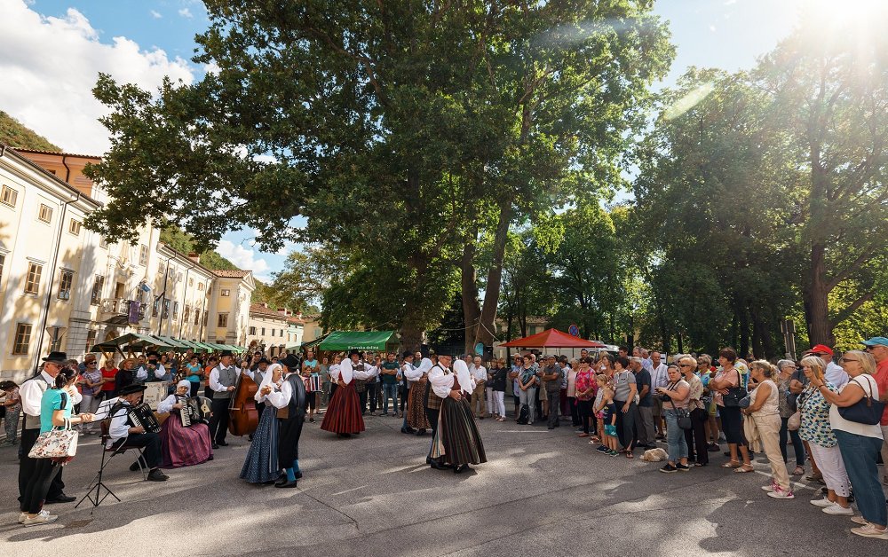 Kam? V Vipavo na Vipavsko trgatev!
