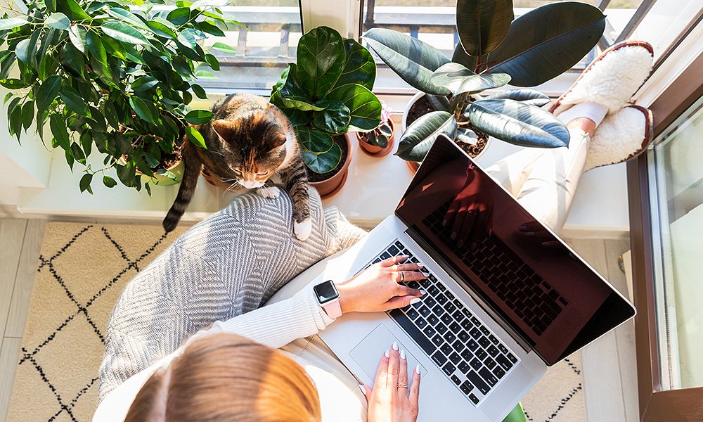 A1 Optika zdaj tudi v Ajdovščini