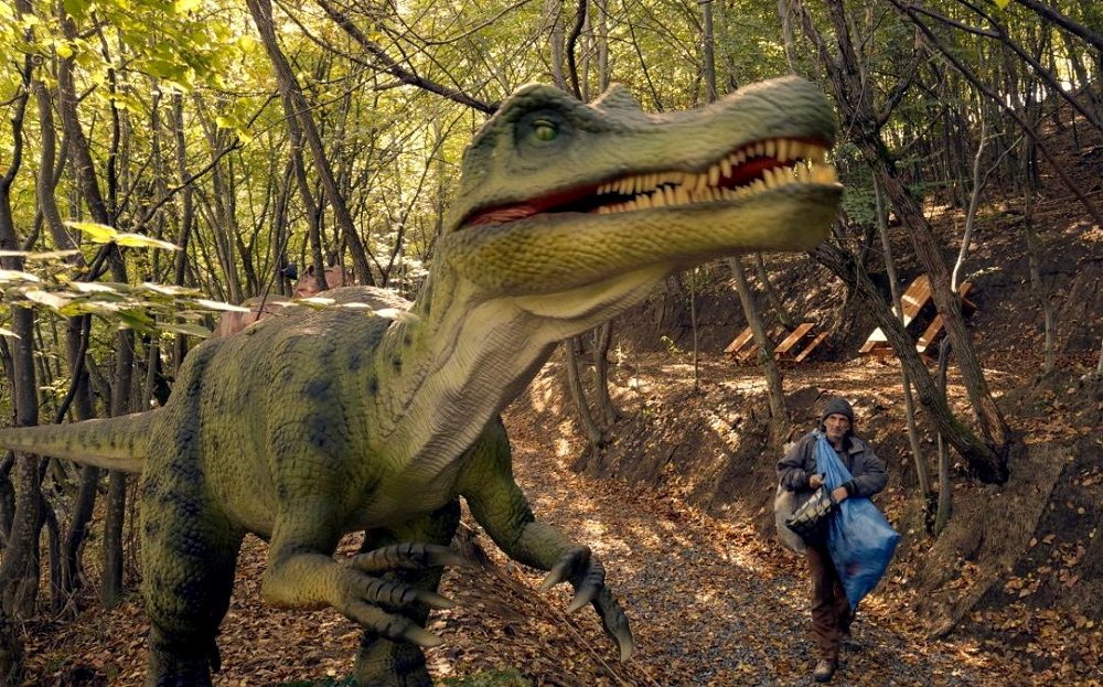 Vse kar morate vedeti: Liffe 2025