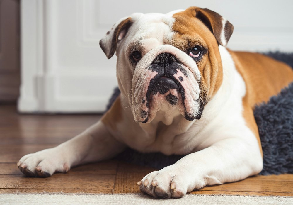 Kolumna: Sreča na vrvici (ali brez nje)