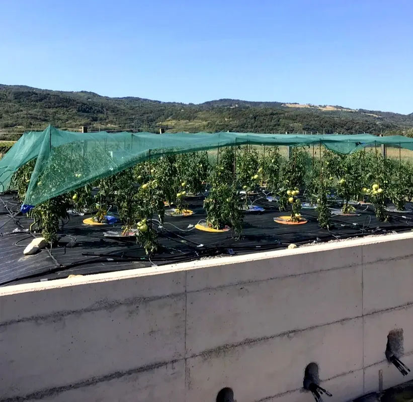 Odpadna voda kot priložnost: zelene tehnologije in raziskave na CČN Ajdovščina