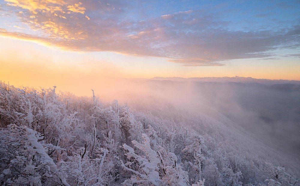 Kolumna: Gora presenečenj