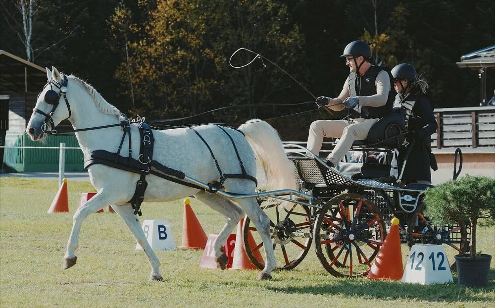 Ajdovec Tadej Marc najboljši voznik enovpreg leta 2025