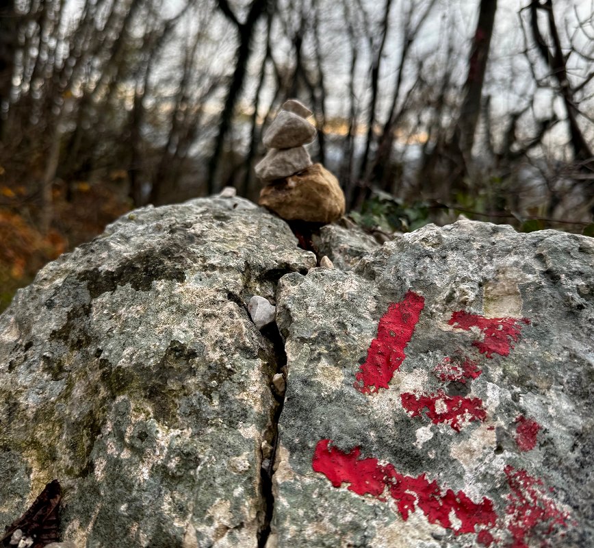 Brezplačna delavnica za mlade: Aktiviraj svoj fokus – intuicija kot supermoč