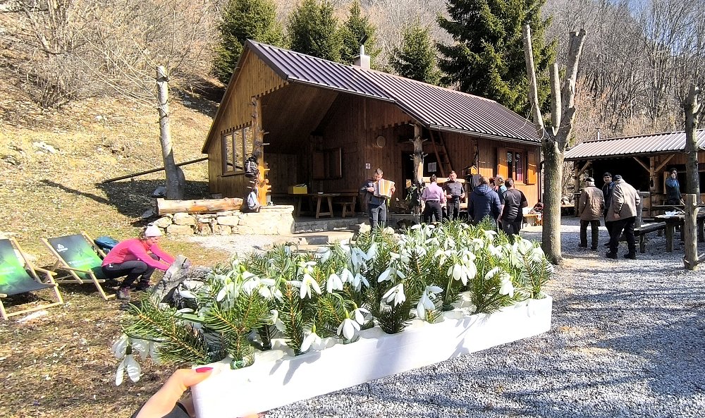 Pohodnice na Mali gori ponovno obdarjene z znanilci pomladi