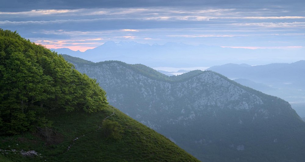 Kolumna: Darovi Gore