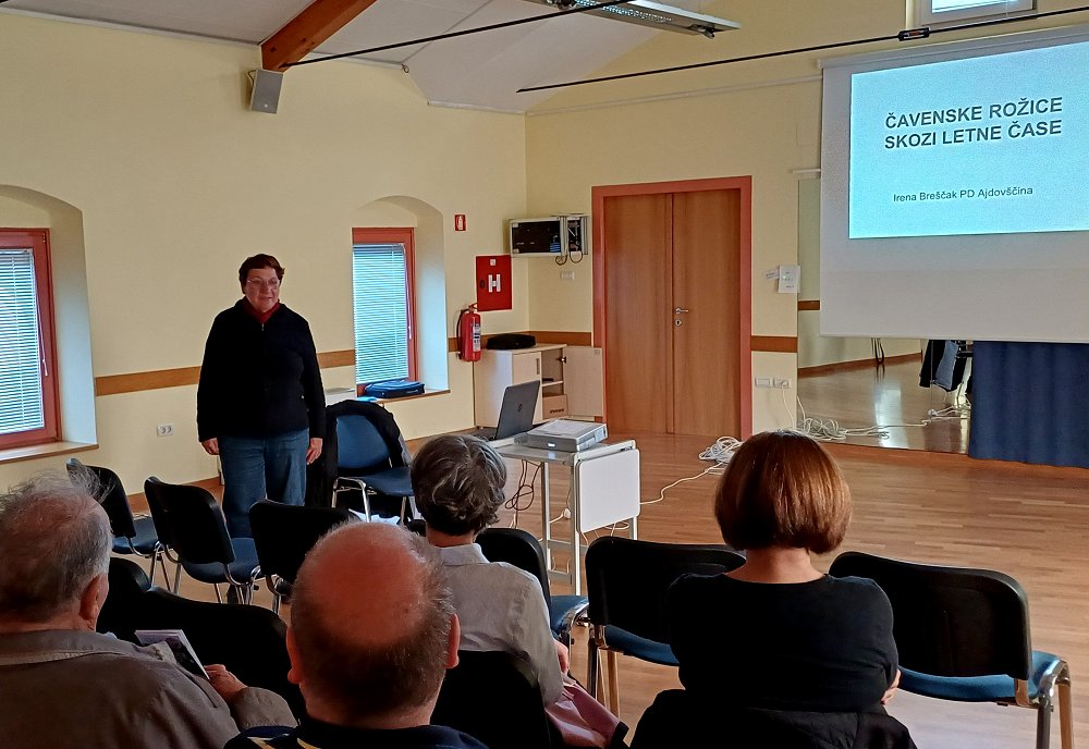 Planinsko društvo Ajdovščina: Čavenske rožice skozi letni čas