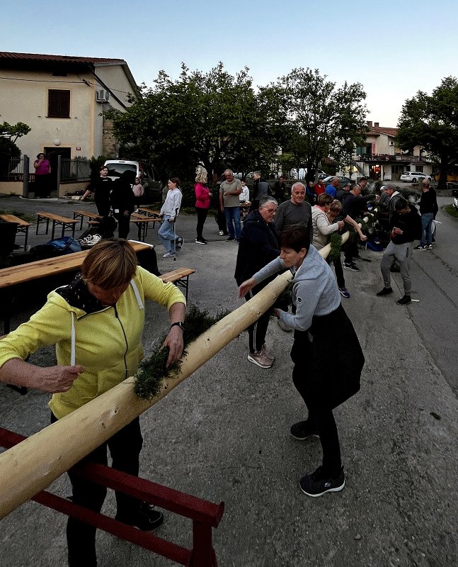 Prvomajski mlaj in kresovanje na Ustju