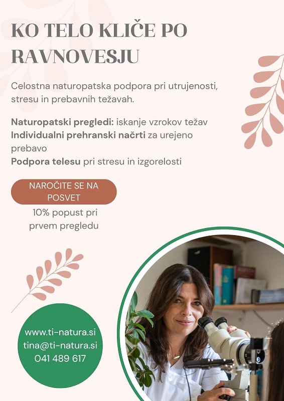 letak Ajdovske.jpg